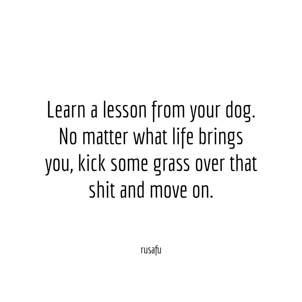 Learn a lesson from your dog. No matter what life brings you, kick some grass over that shit and move on.