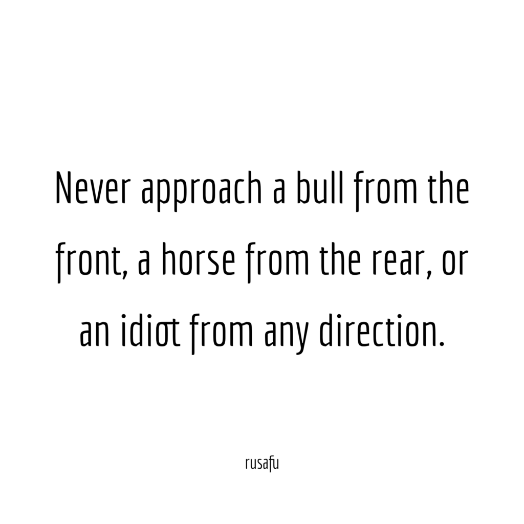 Never approach a bull from the front, a horse from the rear, or an idiot from any direction.