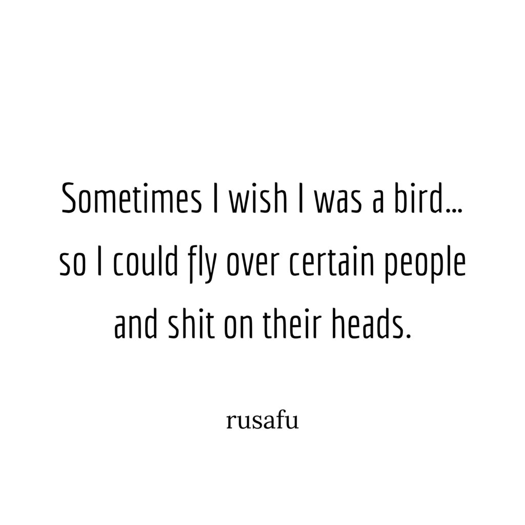 Sometimes I wish I was a bird... so I could fly over certain people and shit on their heads.