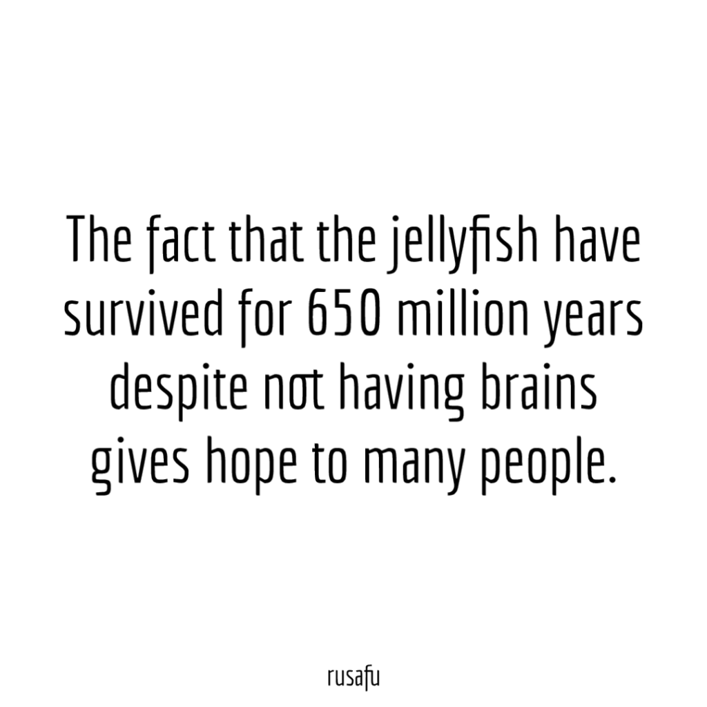 The fact that the jellyfish have survived for 650 million years despite not having brains gives hope to many people.
