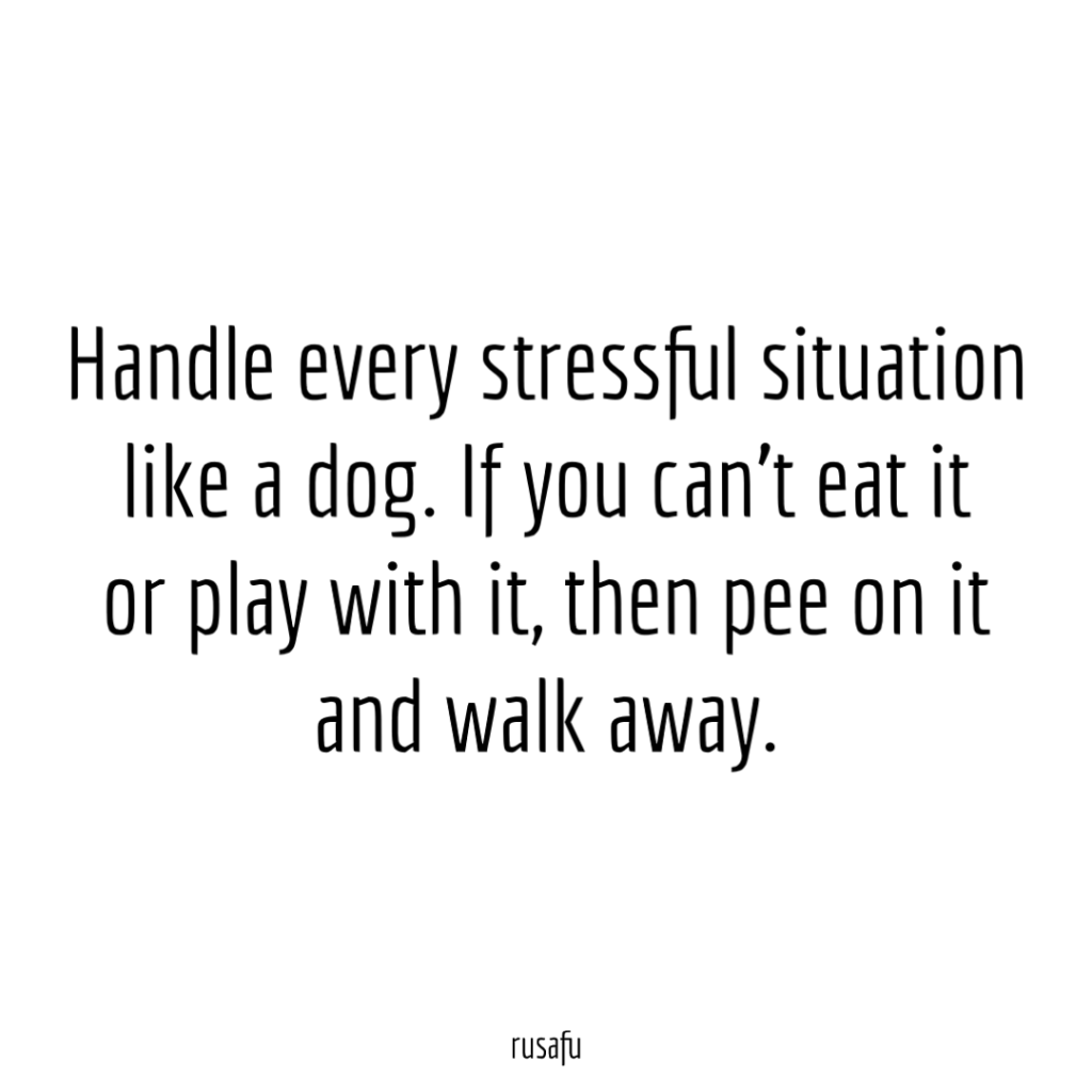 Handle every stressful situation like a dog. If you can’t eat it or play with it, then pee on it and walk away.