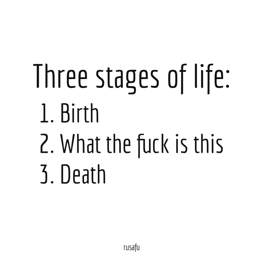 Three stages of life: 1. Birth, 2. What the fuck is this, 3. Death