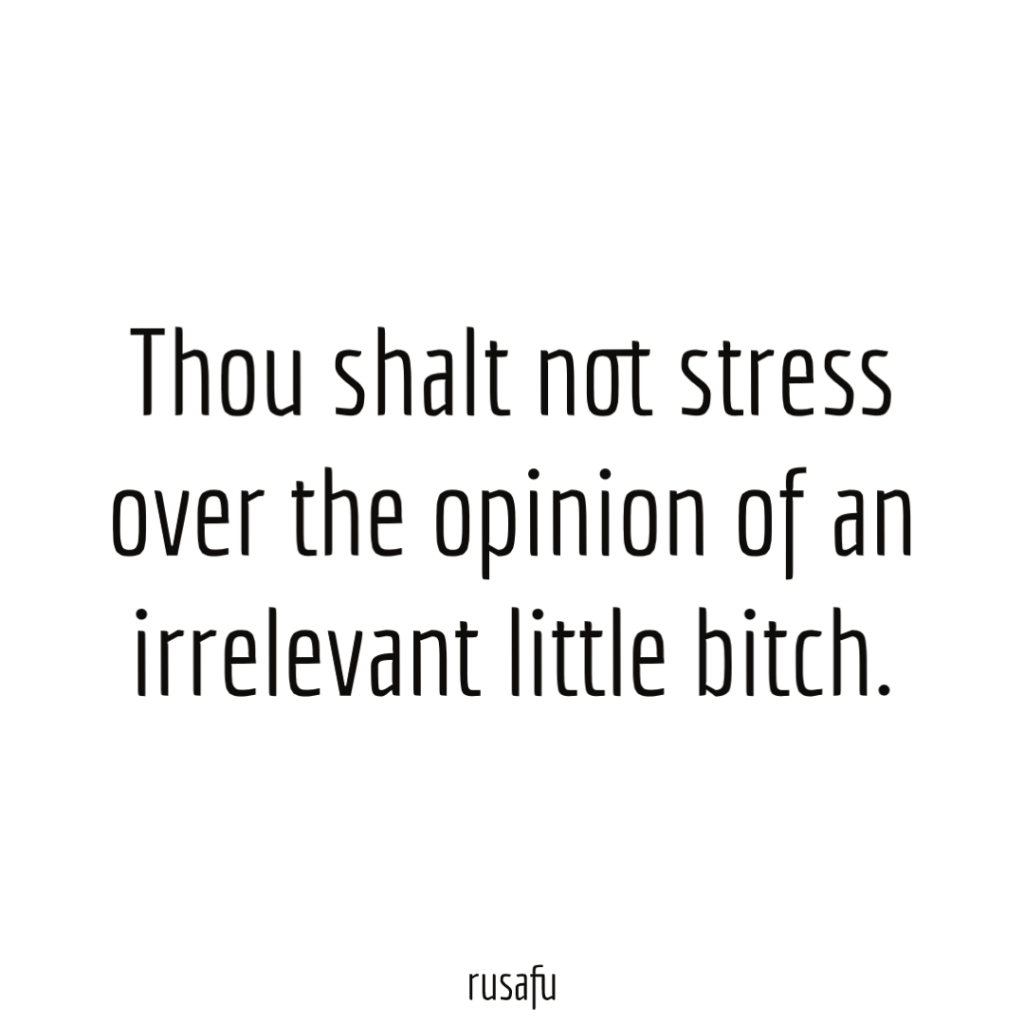 Thou shalt not stress over the opinion of an irrelevant little bitch.