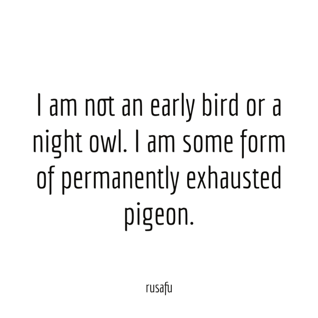 I am not an early bird or a night owl. I am some form of permanently exhausted pigeon.