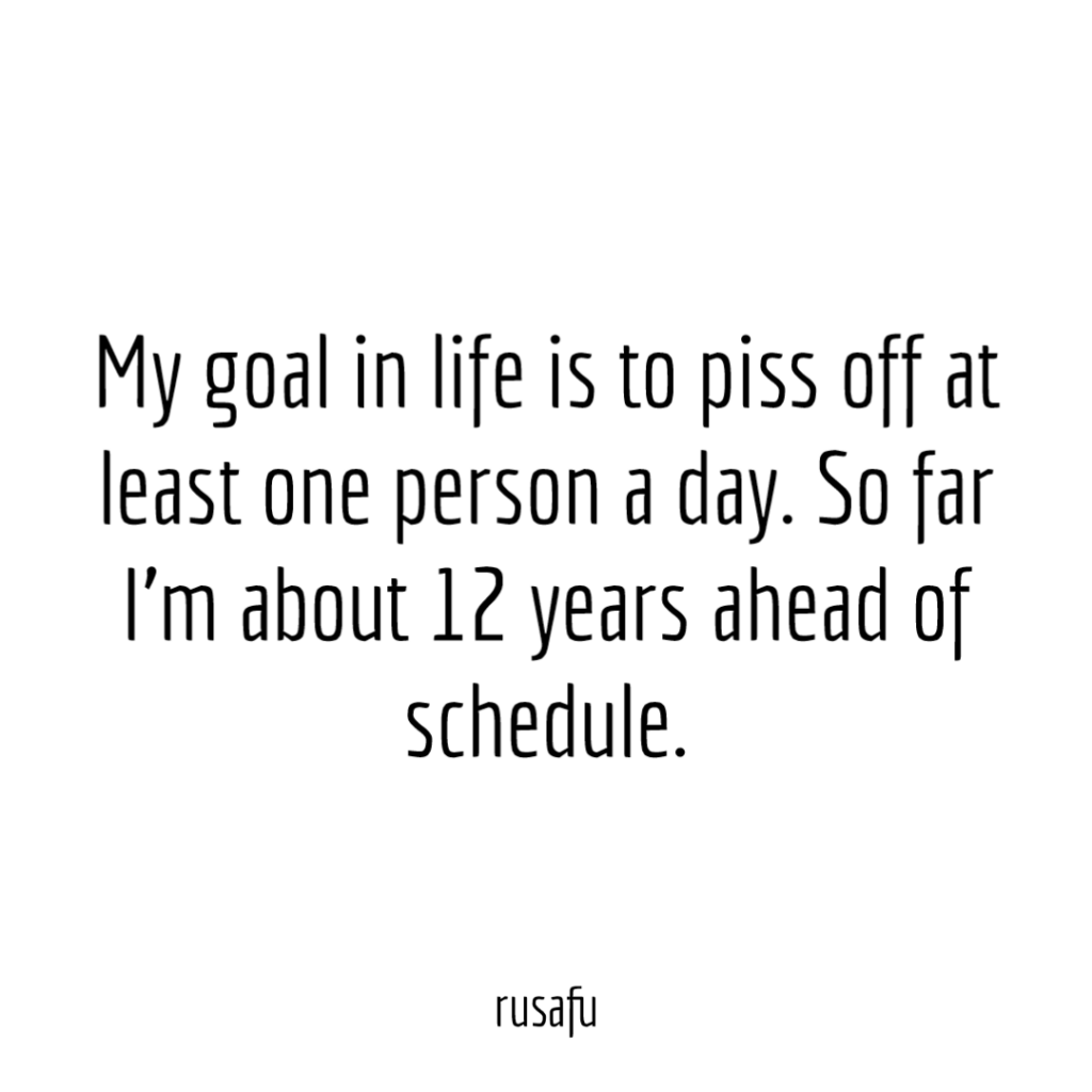 My goal in life is to piss off at least one person a day. So far I’m about 12 years ahead of schedule.